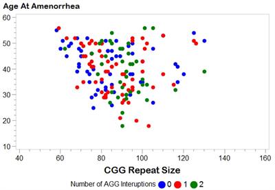 FXPOI: Pattern of AGG Interruptions Does not Show an Association With Age at Amenorrhea Among Women With a Premutation